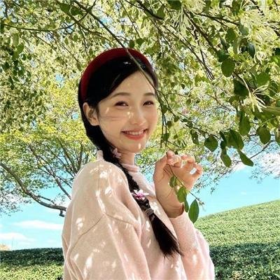 机动组第一季